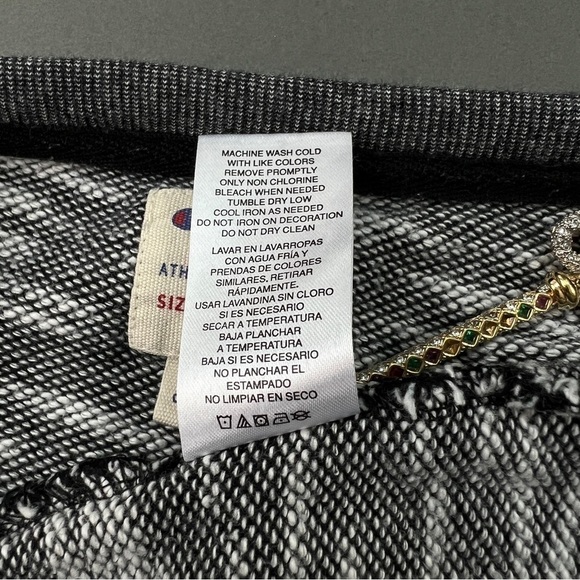 Champion Terrycloth Raglan Sweatshirt - Picture 6 of 6